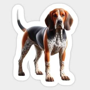 American English Coonhound Sticker